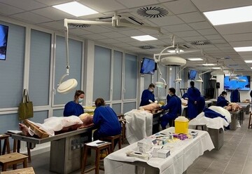 COURS DE DISSECTION DES LAMBEAUX LIBRES